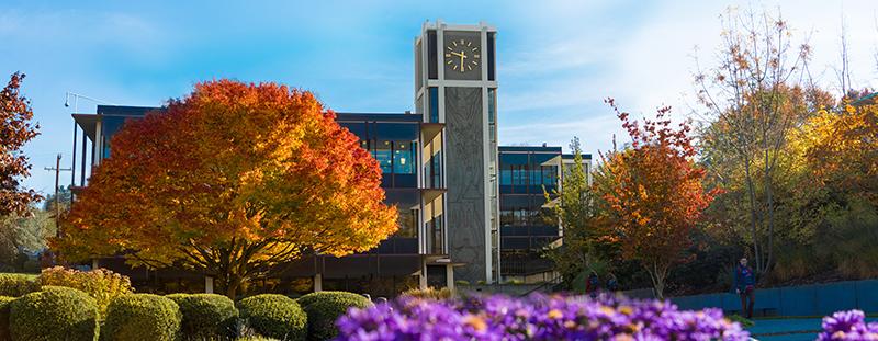 Demaray Hall in the fall, with purple flowers in the foreground